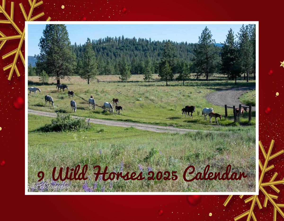 9 Wild horses 2025 Calendar