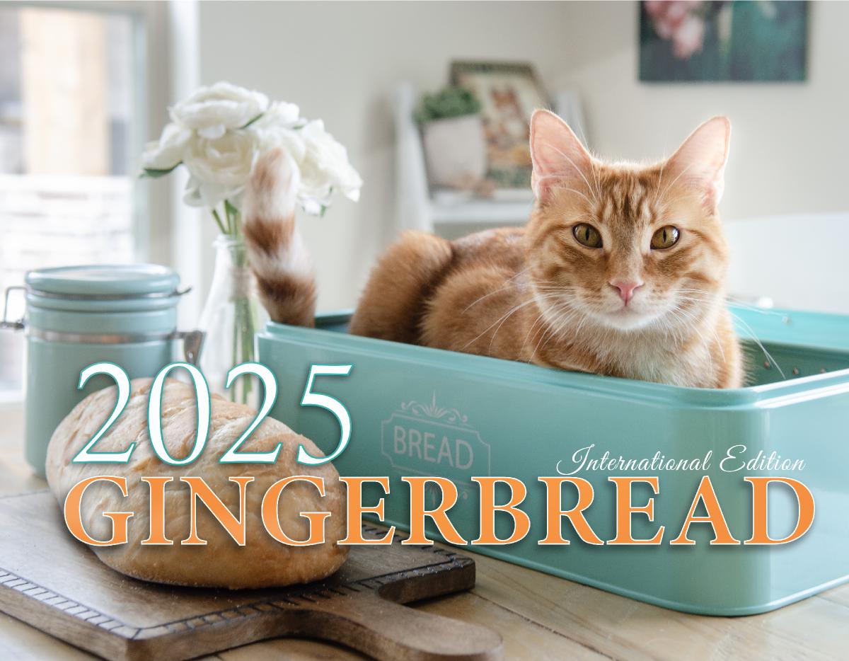 Gingerbread 2025 International