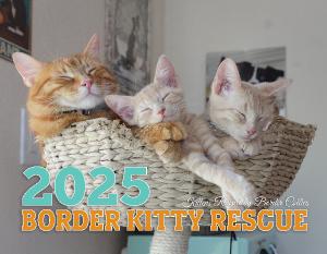 Border Kitty Rescue 2025