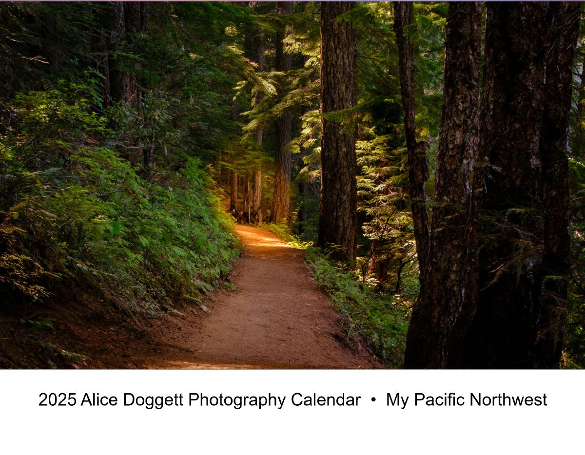 2025 Alice Doggett Photography Calendar