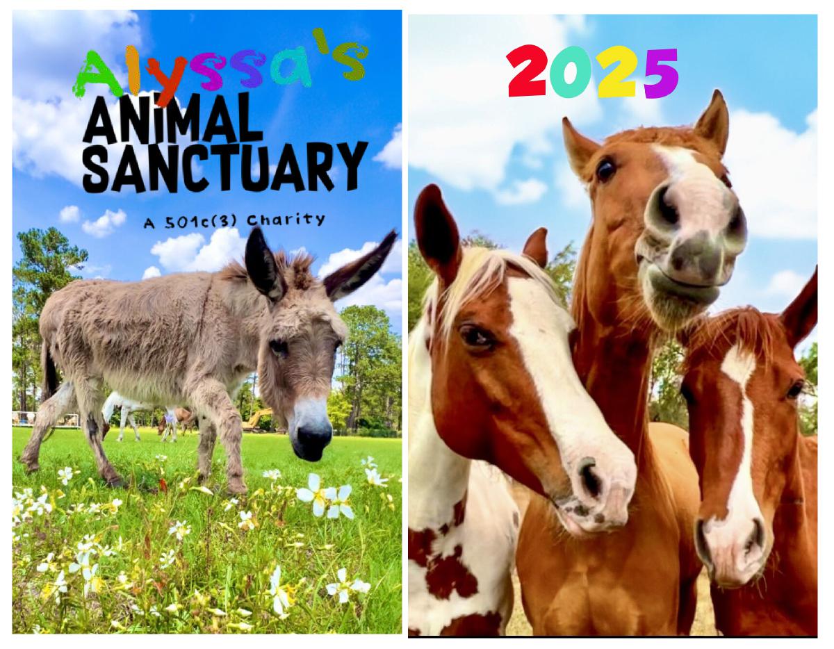 Alyssa's Animal Sanctuary 2025 Equine Calendar