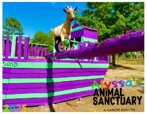 r Alyssa's Animal Sanctuary 2025 Goat Calendar