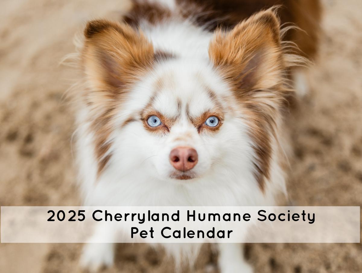 2025 Cherryland Humane Society Pet Calendar