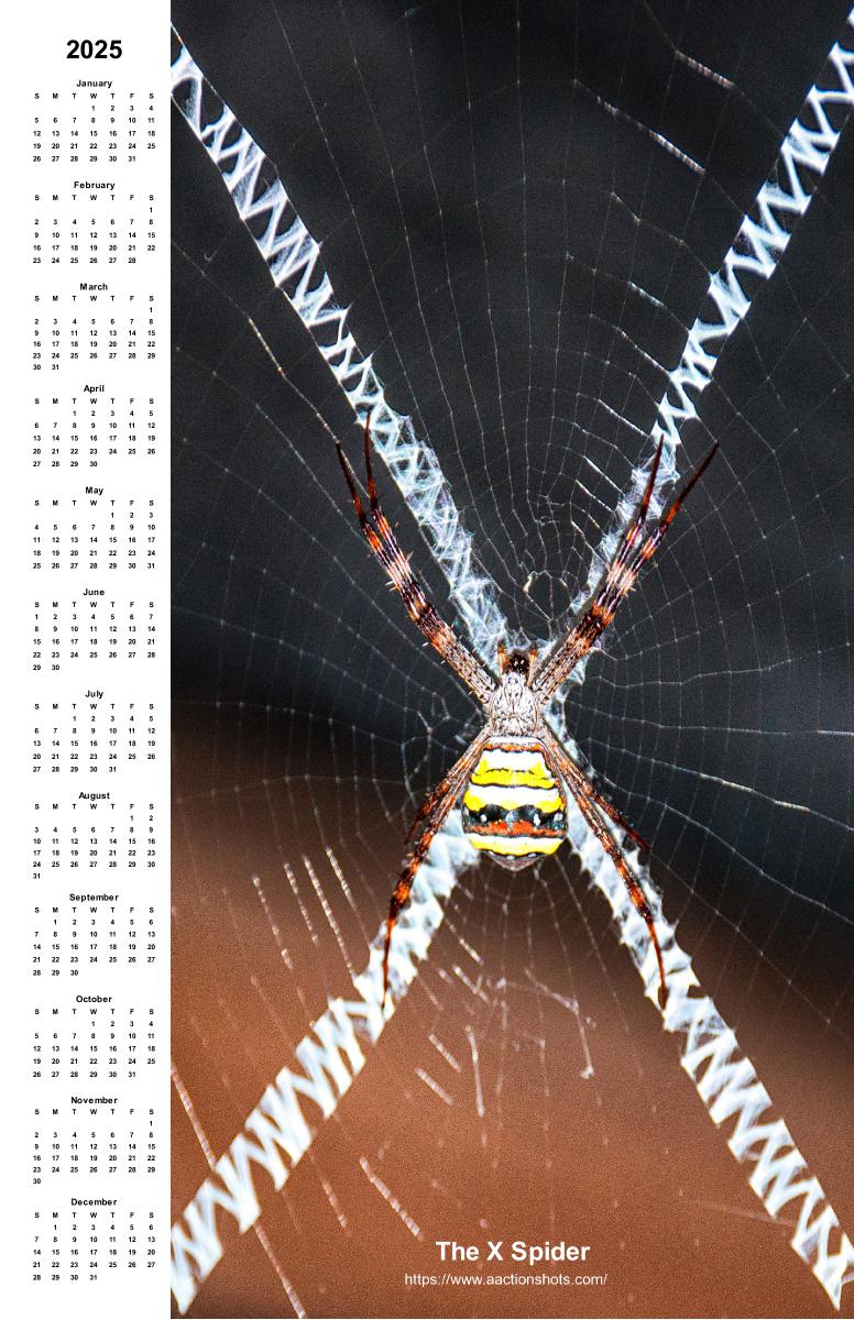 The X Spider - Calendar 2025