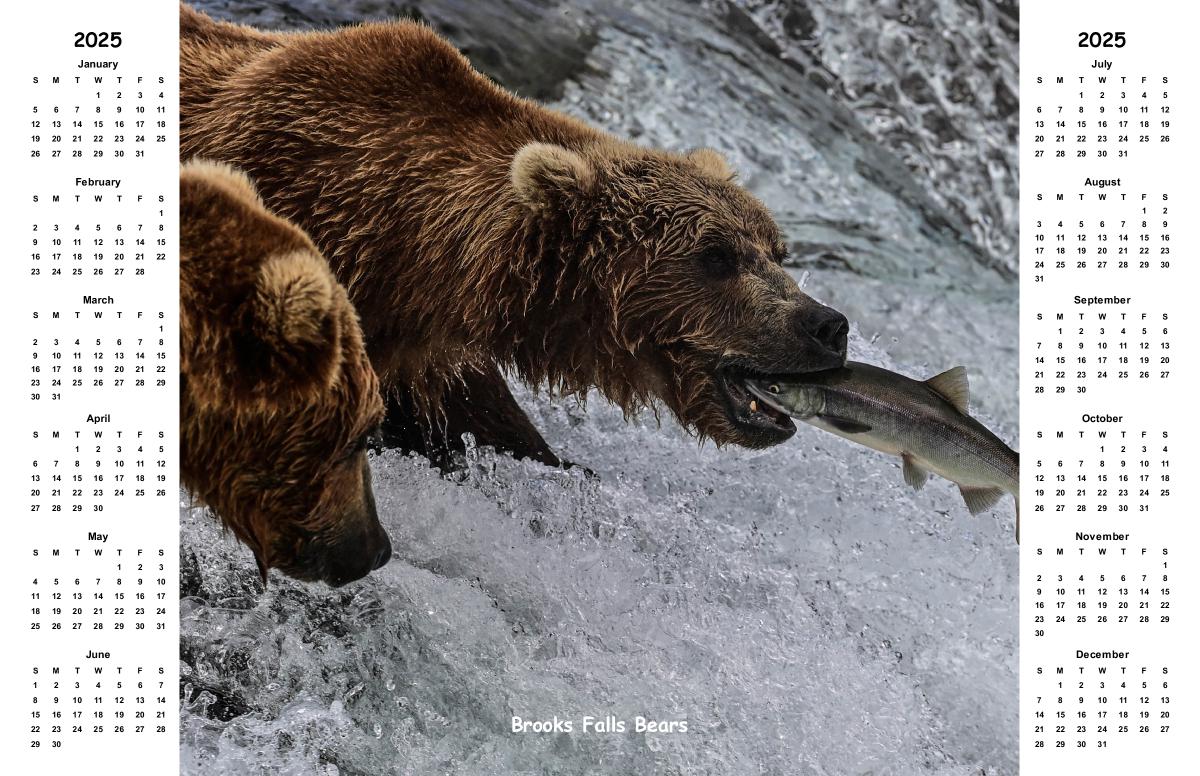 Brooks Falls Bears