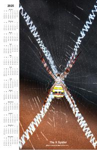 The X Spider - Calendar 2025