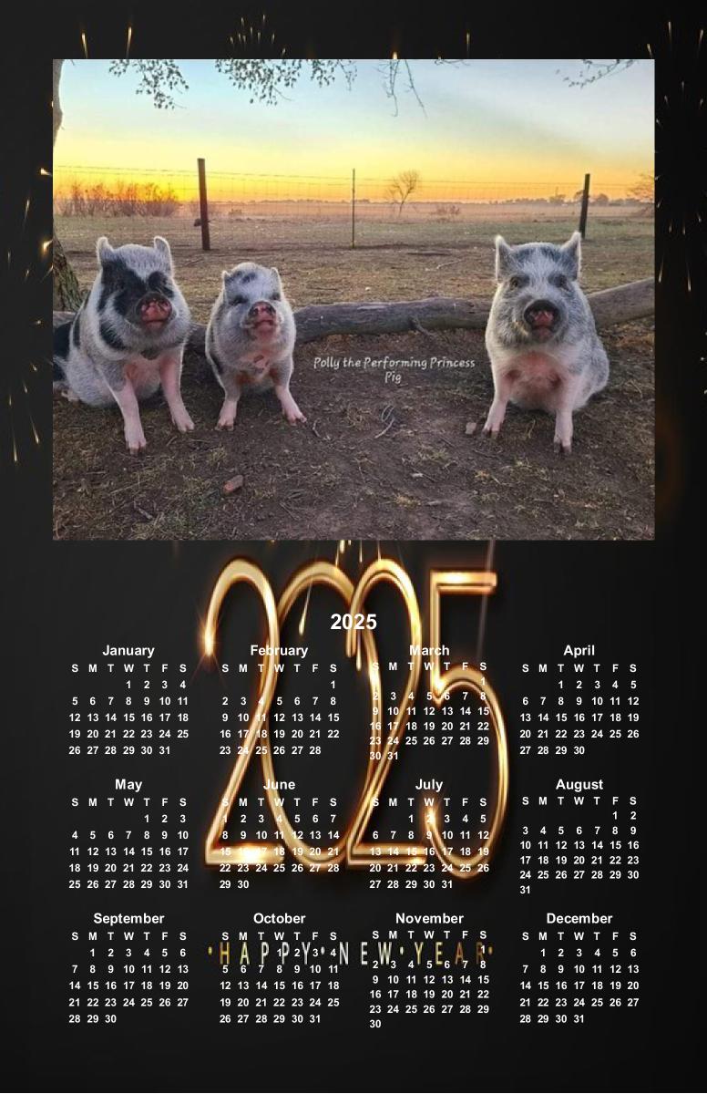 Polly the Performing Princess Pig wall calendar