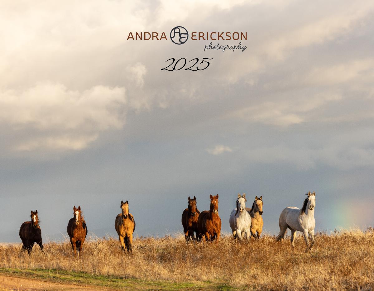 Andra Erickson Photography 2025 Calendar