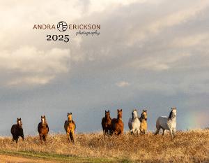 Andra Erickson Photography 2025 Calendar