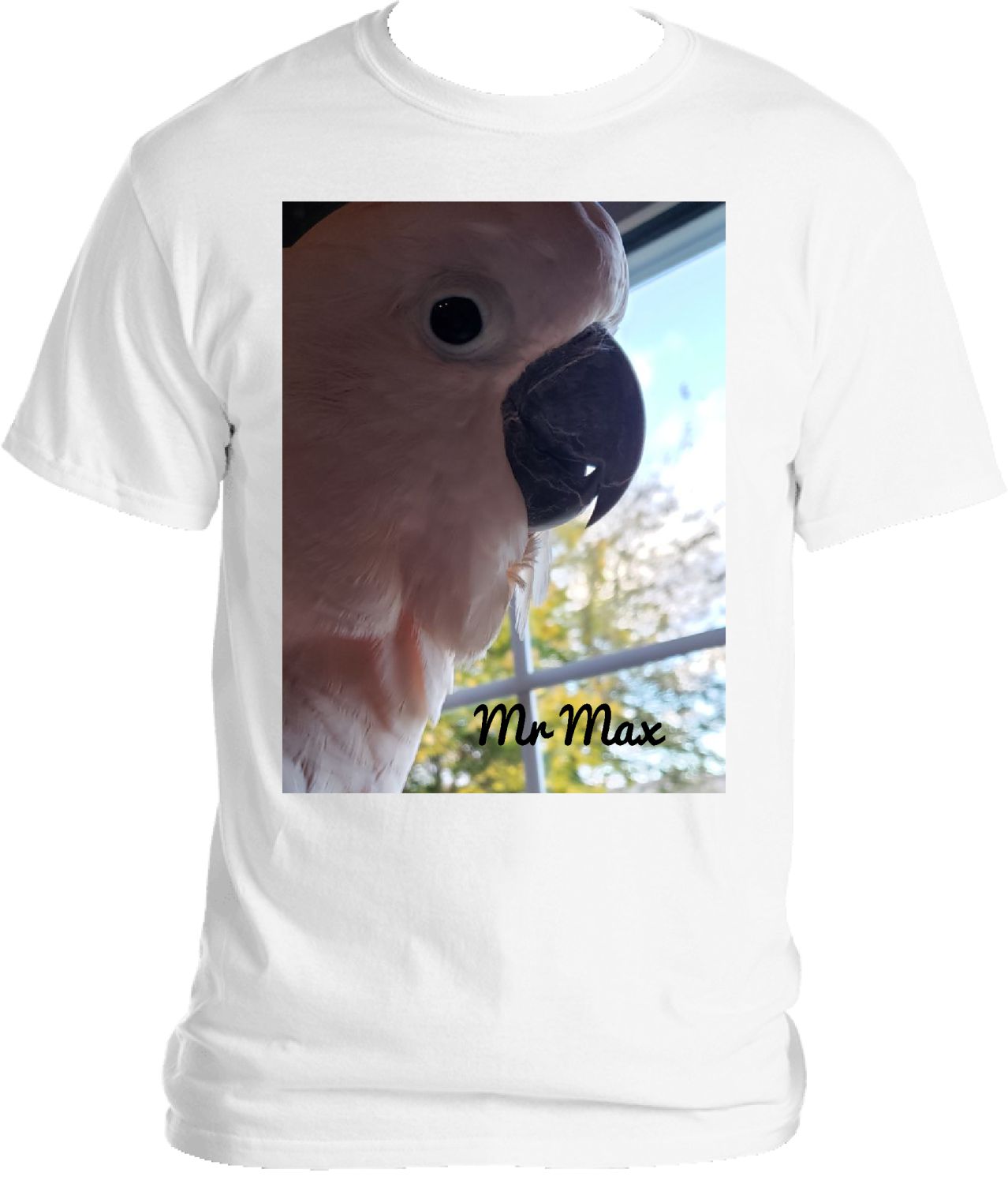 Mr Max TShirt 2022