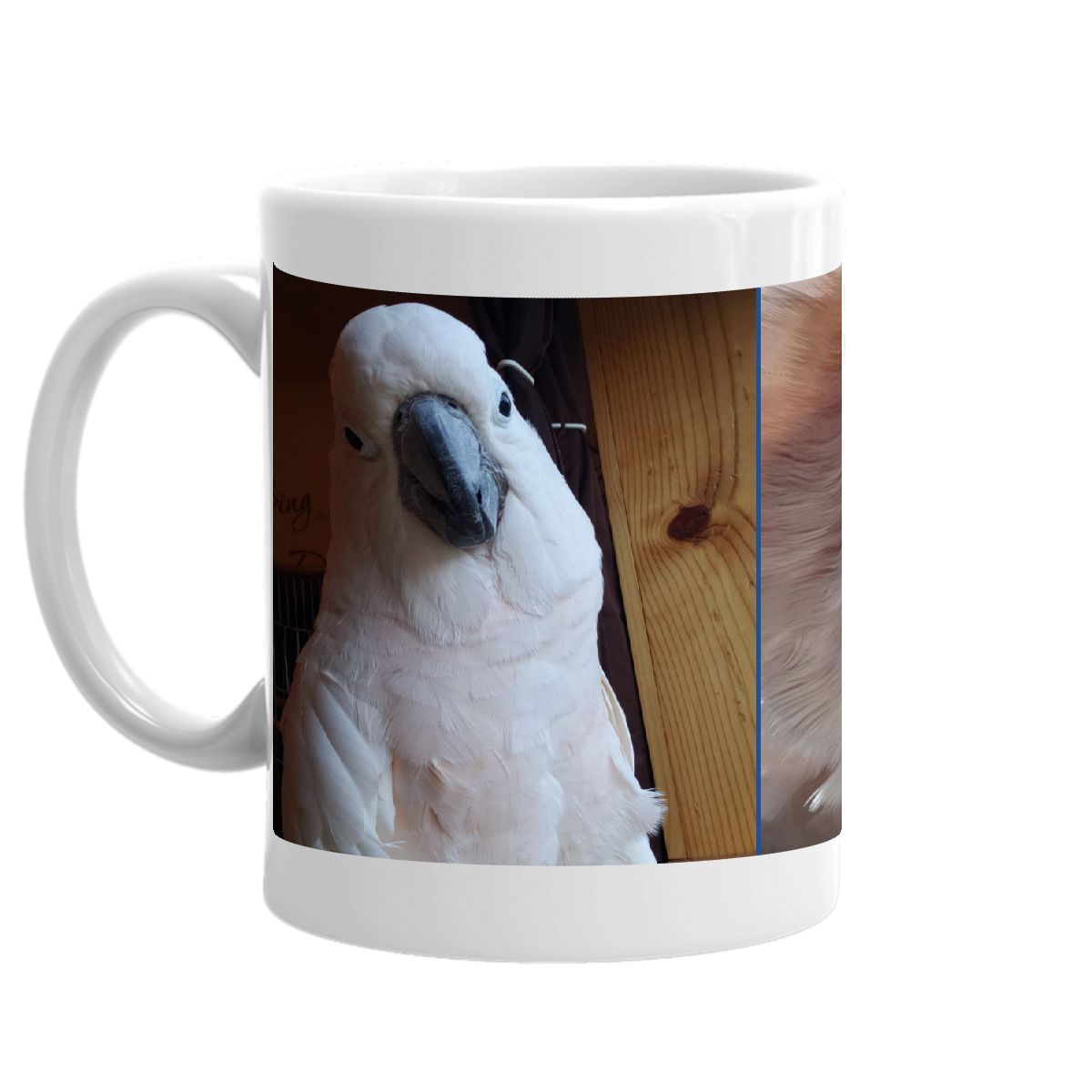 Max Mug