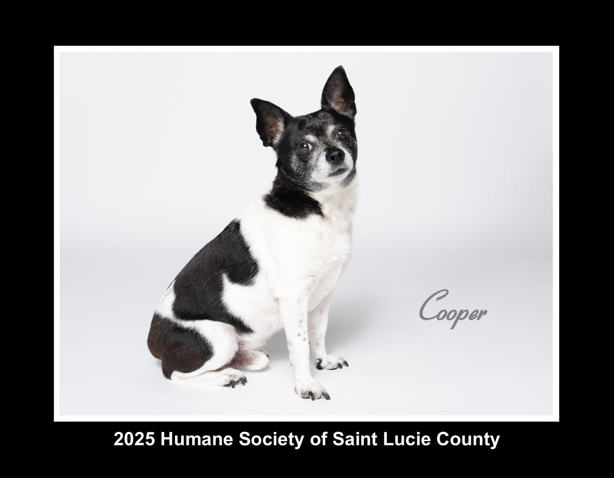 Humane Society of St. Lucie County 2025 Calendar