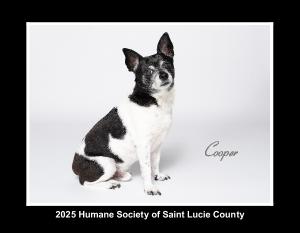 Humane Society of St. Lucie County 2025 Calendar