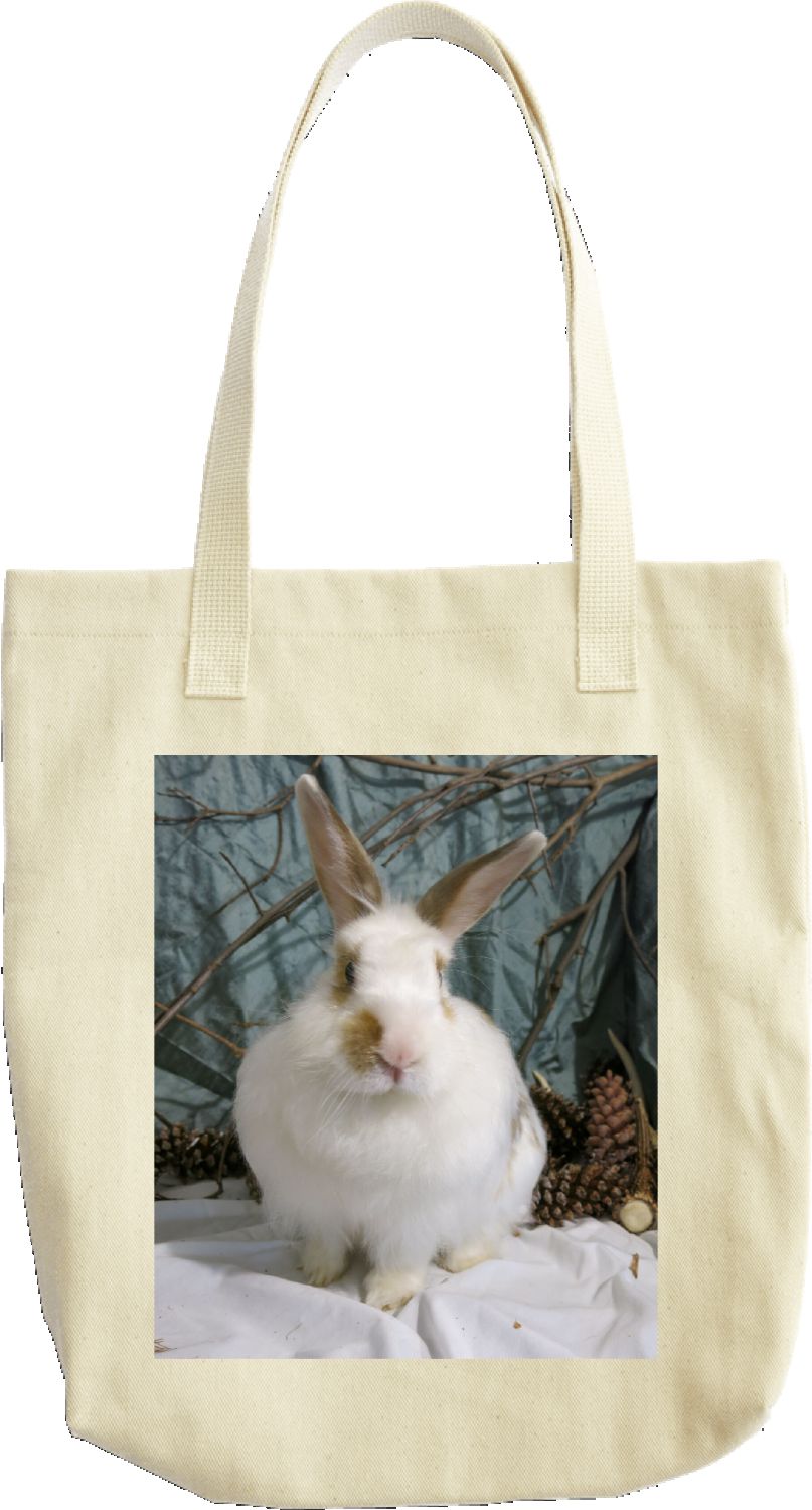 Sweet Lollipop Tote Bag