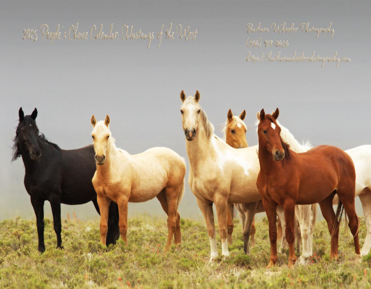 2025 People's Choice Calendar:Mustangs of the West