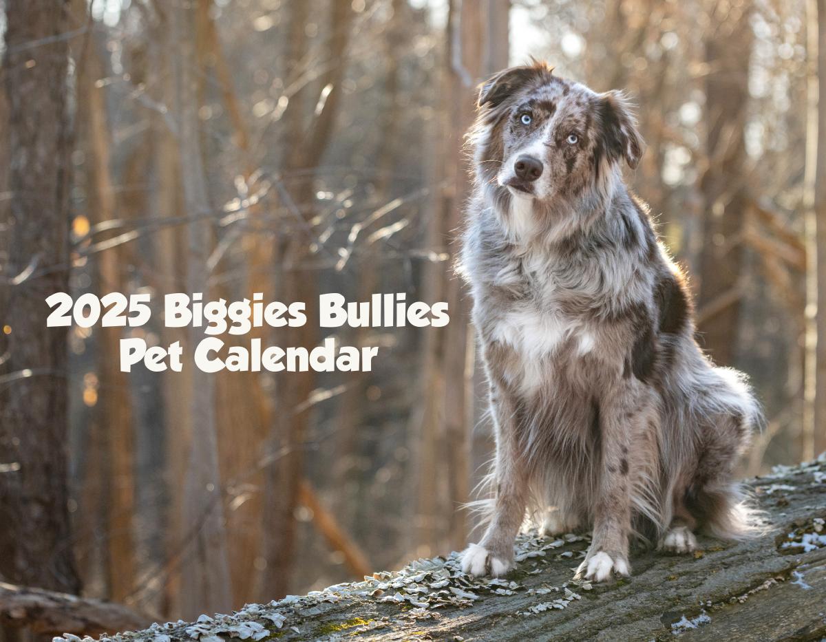 2025 Biggies Bullies Calendar