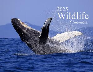 2025 Wildlife Calendar - Discount