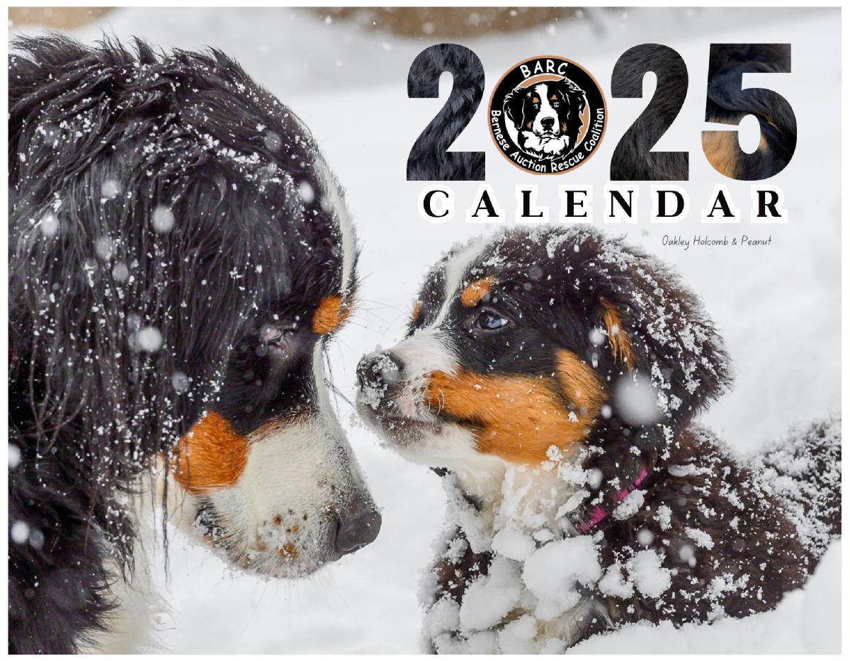 BARC 2025 Calendar (white trim)