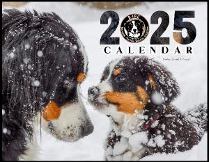 BARC 2025 Calendar (color trim)