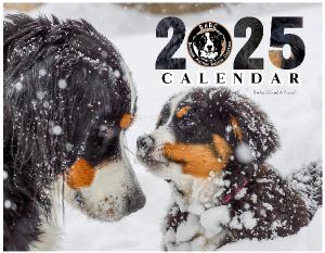 BARC 2025 Calendar (white trim)