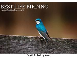 Best Life Birding North Carolina Birds 2025