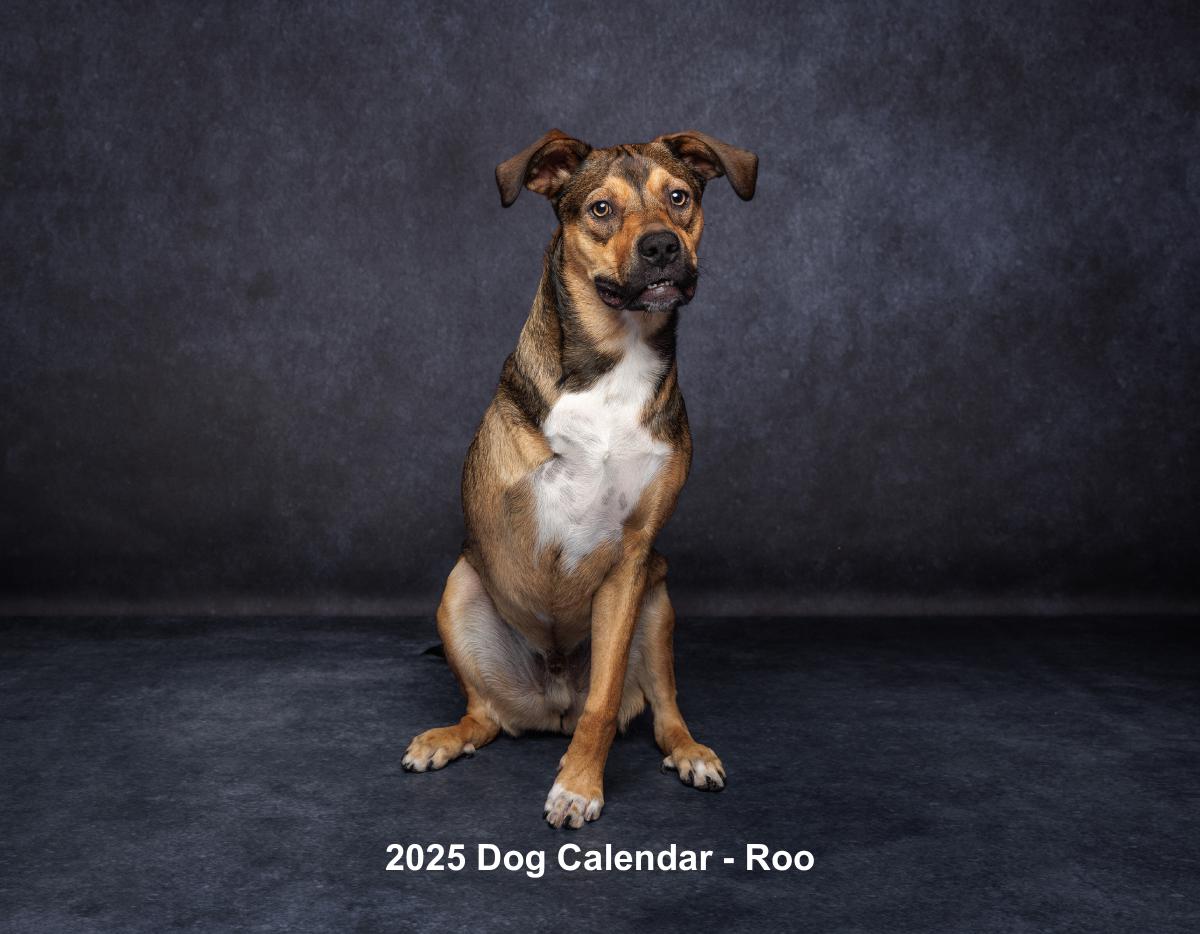 2025 Gals Best Pal Dog Calendar