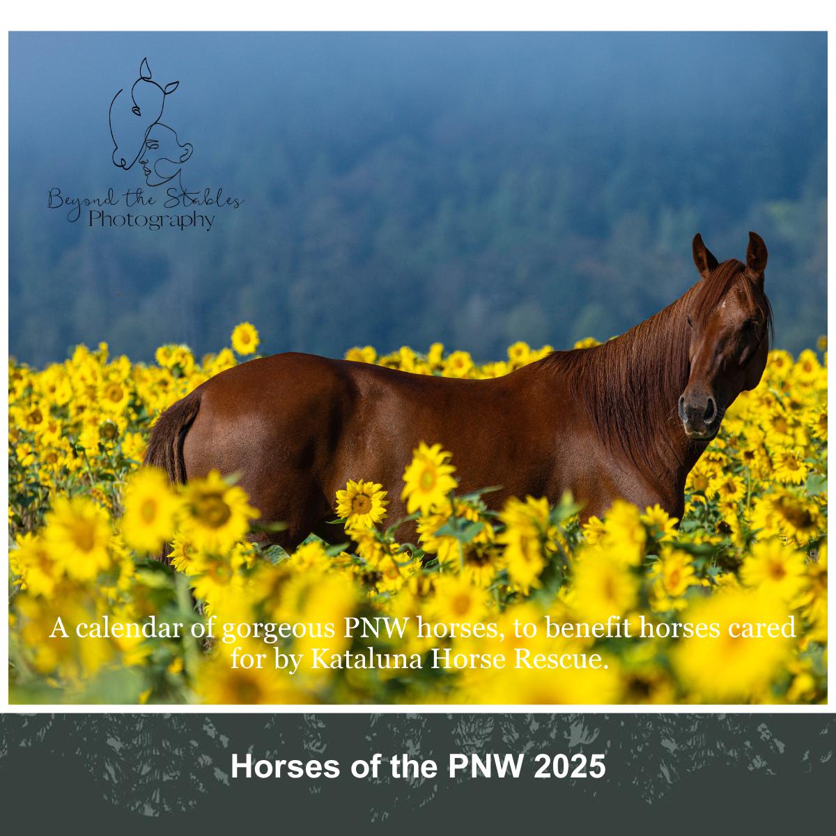 Horses of the PNW 2025 Wall Calendar