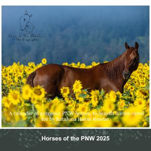 Horses of the PNW 2025 Wall Calendar