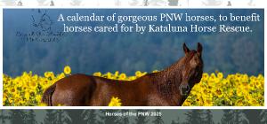 2025 Horses of the PNW Desk Calendar