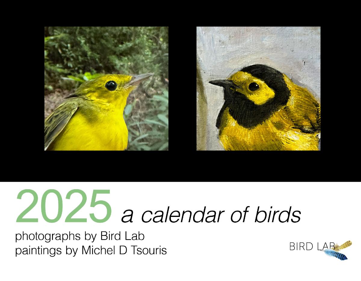 Bird Lab 2025 Calendar