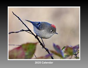 2025 Bird Calendar by Mike Saccone