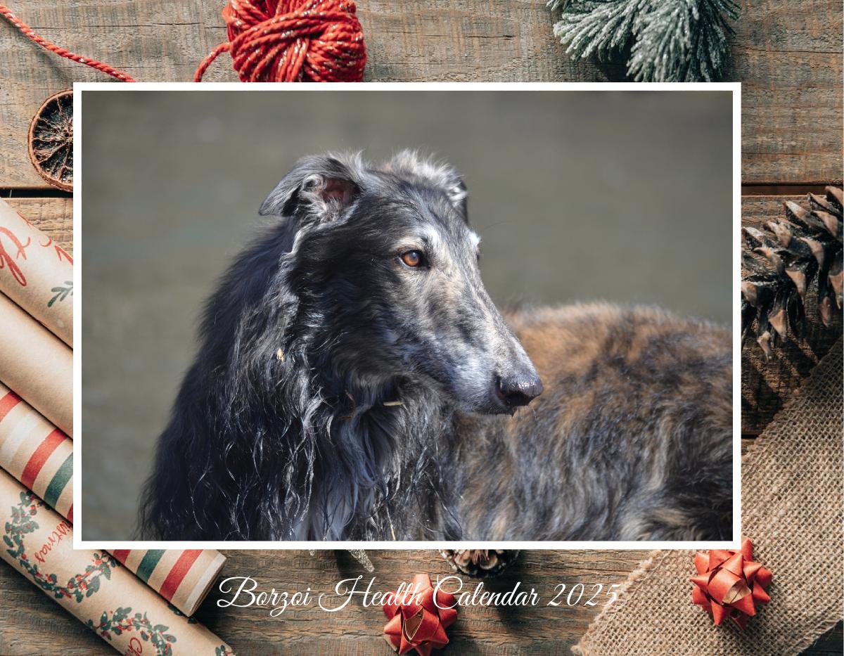 Borzoi Health Fund Calendar