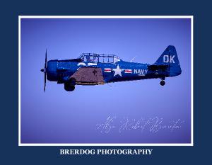 COMMEMORATIVE AIR FORCE