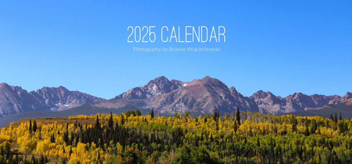 2025 BriWojPhoto Desk Calendar