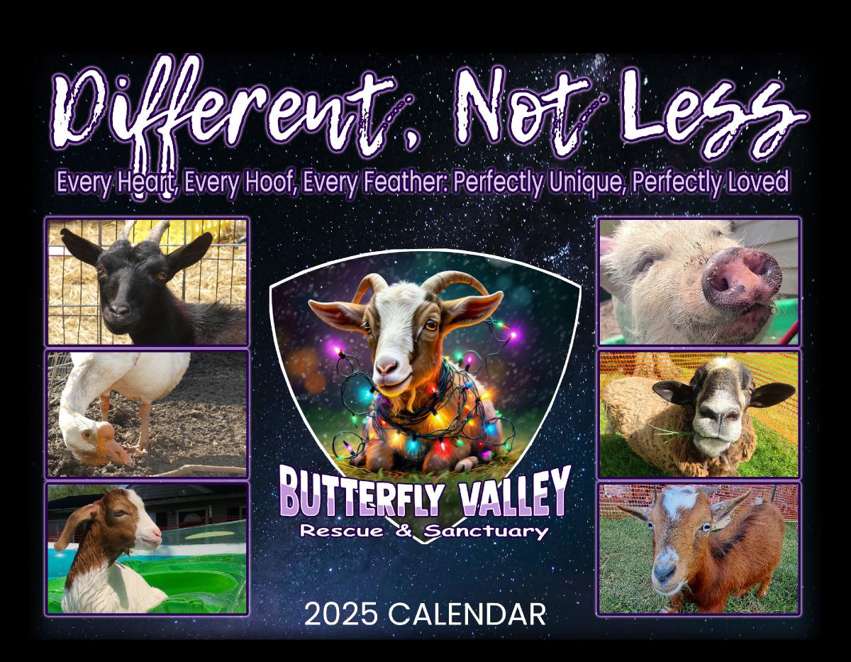 2025 Butterfly Valley Rescue & Sanctuary Calendar