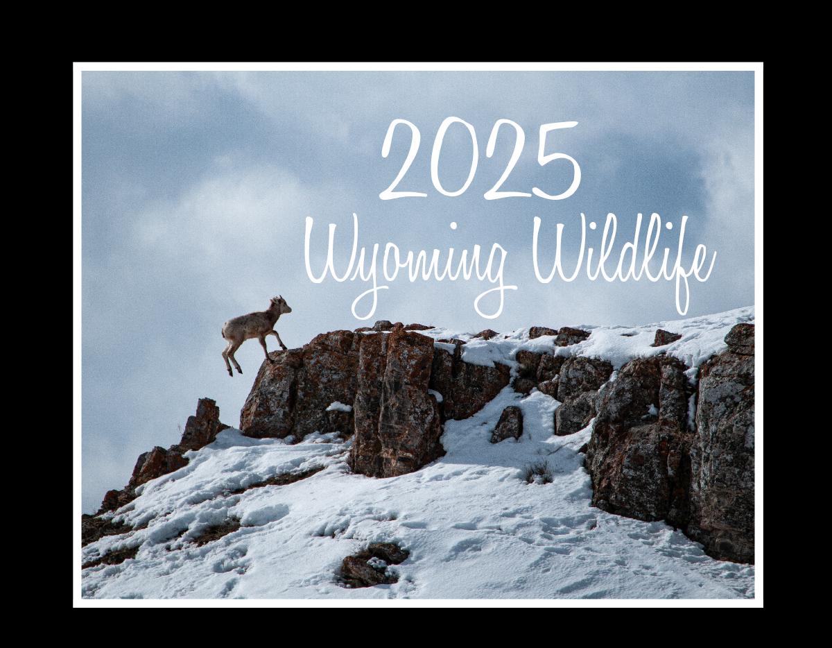 2025 Wyoming Wildlife Calendar