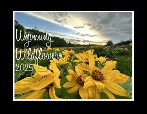 2025 Wyoming Wildflower Calendar