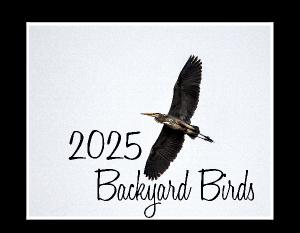 2025 Backyard Birds Calendar