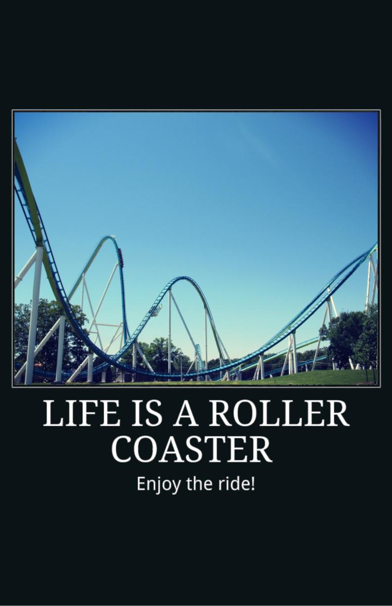 Life is a Roller Coaster - Fury Poster