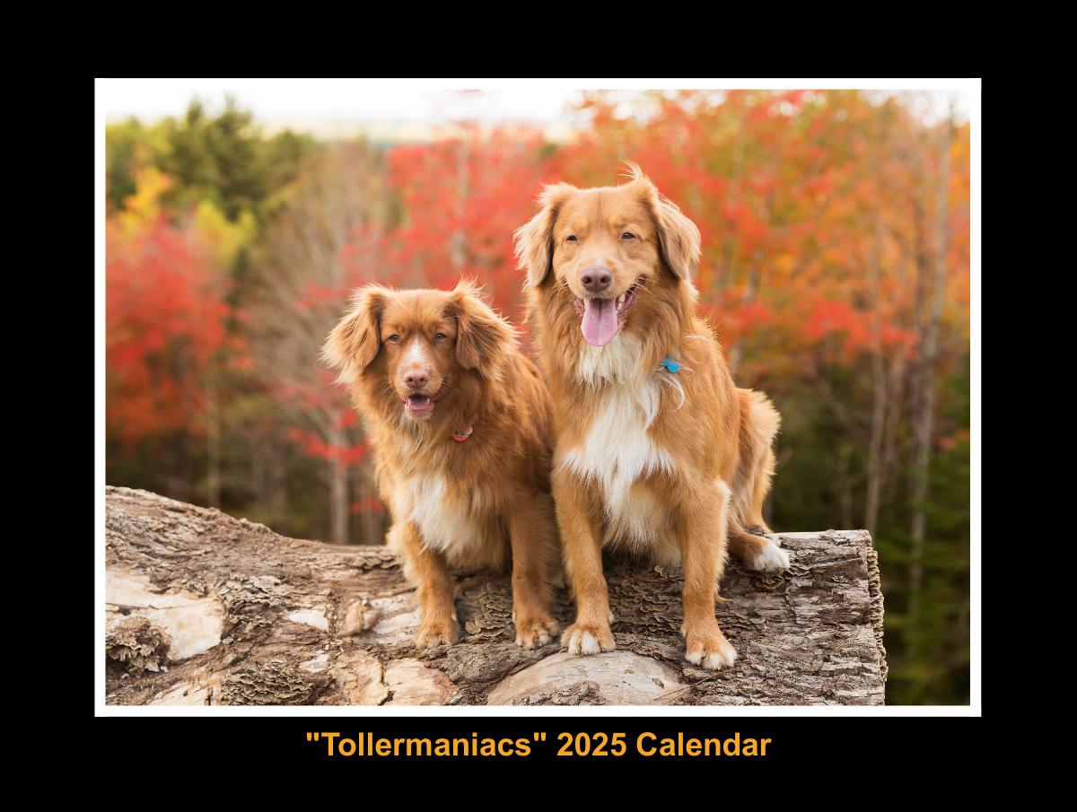 Tollermaniacs 2025 Calendar