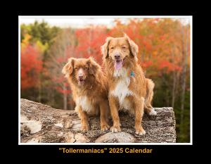 Tollermaniacs 2025 Calendar