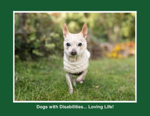 Dogs with Disabilities... Loving Life!