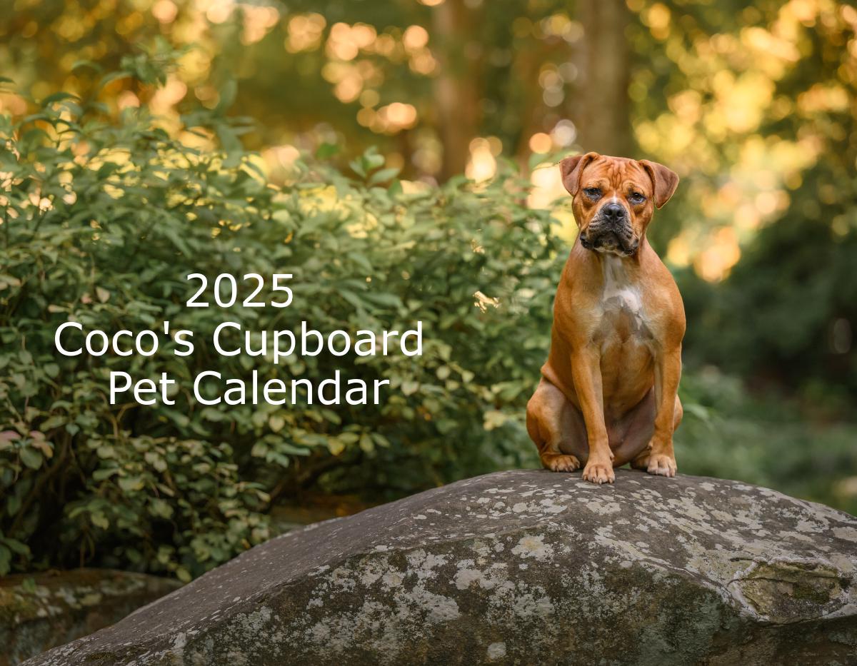 2025 Cocos Cupboard Pet Calendar