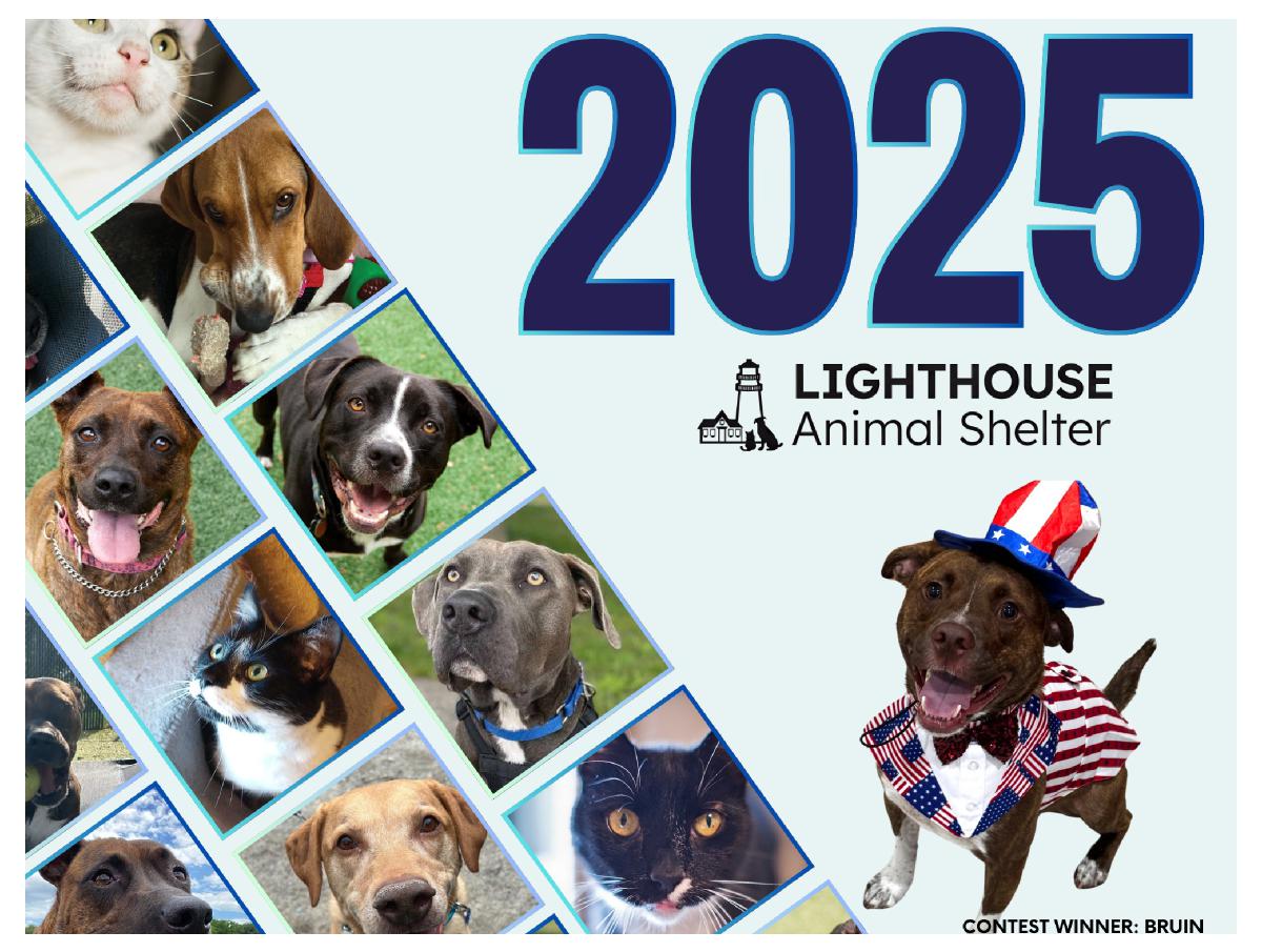 2025 Lighthouse Animal Shelter Calendar