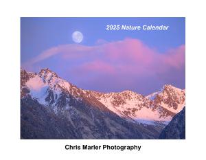 2025 Wild Landscapes Calendar