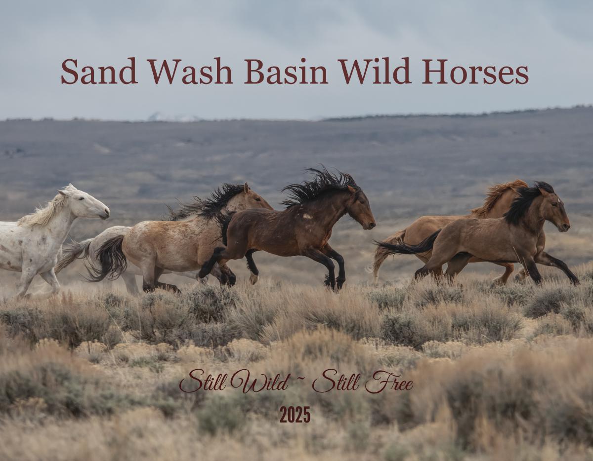 Sand Wash Basin ~ Still Wild Still free