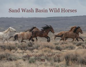 Sand Wash Basin ~ Still Wild Still free