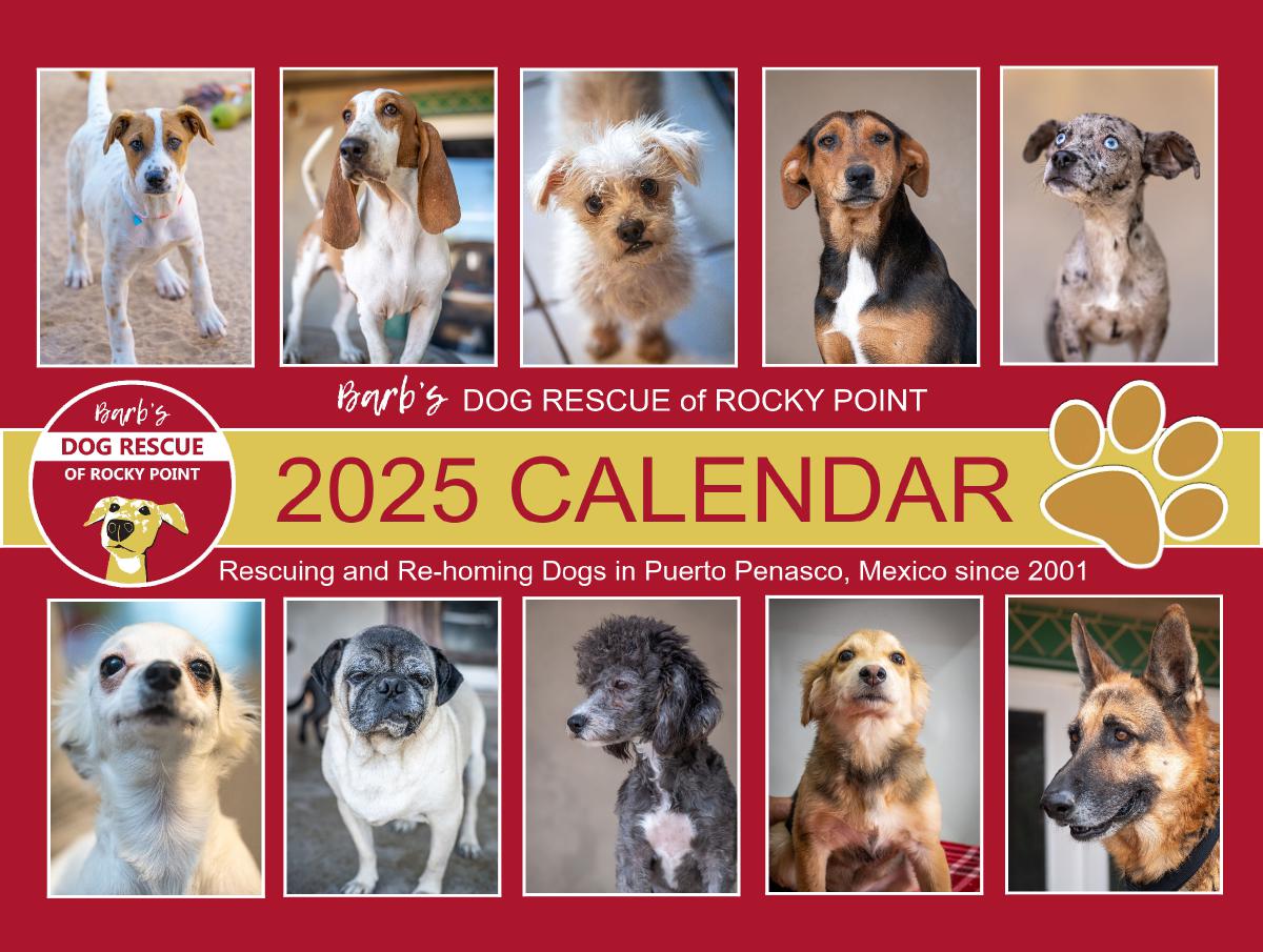 Barb's Dog Rescue 2025 Calendar