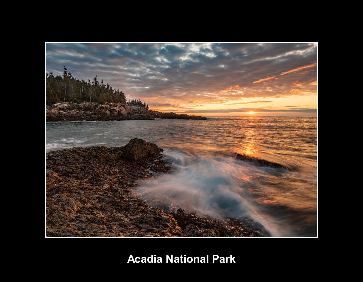 Acadia National Park Wildlife & Landscapes