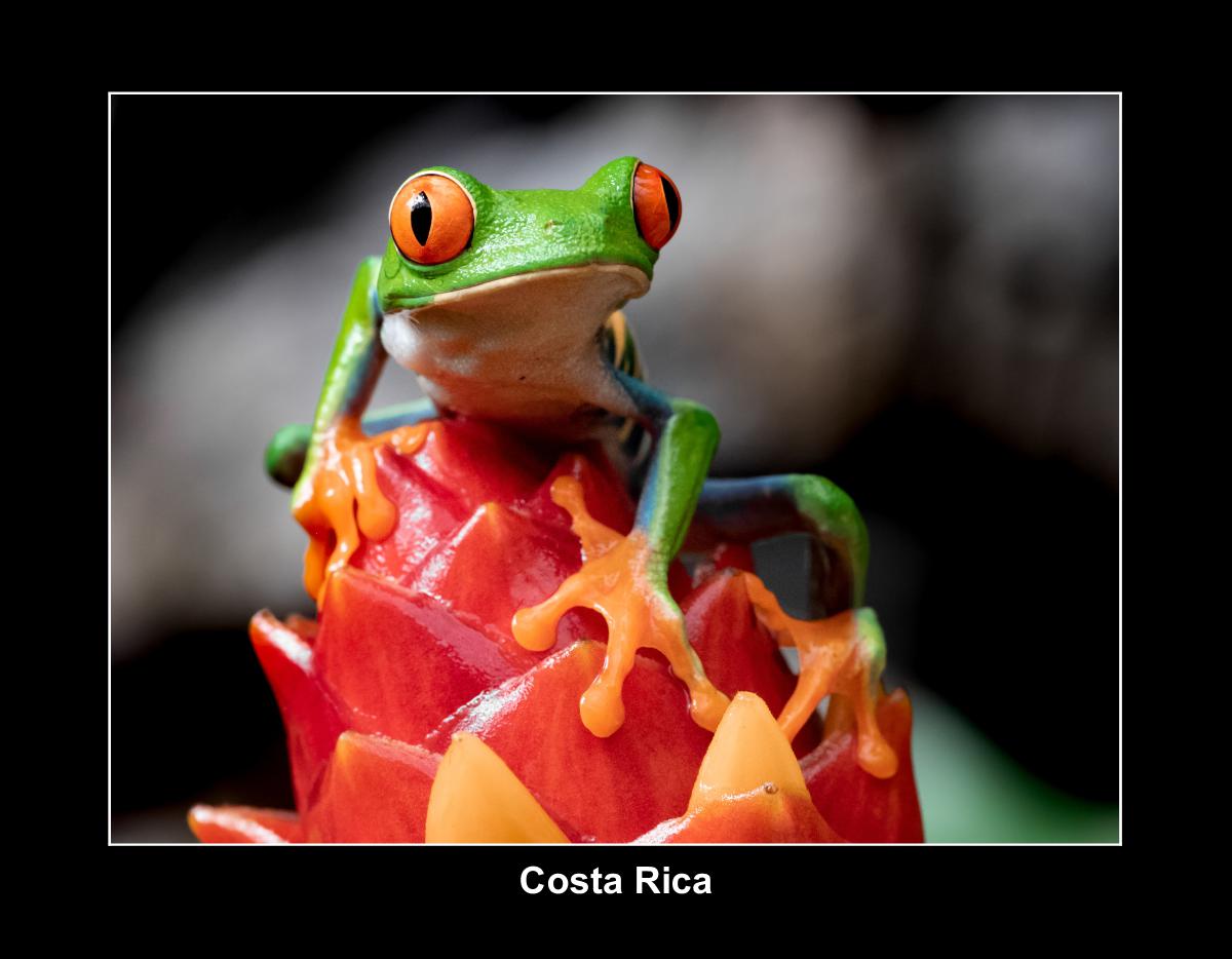 Costa Rica Calendar